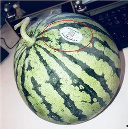 呼市网红吃瓜,揭秘幕后故事与热门话题