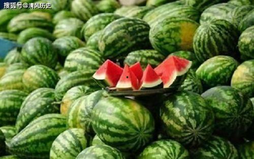 能在线吃瓜网,能在线吃瓜网带你领略网络娱乐新风尚