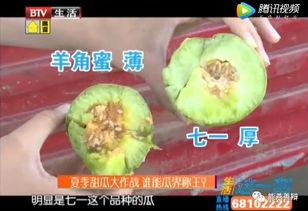 最全吃瓜福利定制网,一网打尽热门资讯，尽享独家福利盛宴